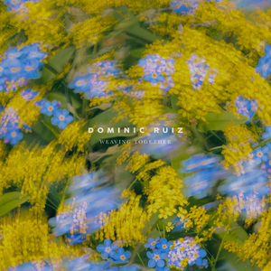 叶山小百合被邻居欺负是哪几集
